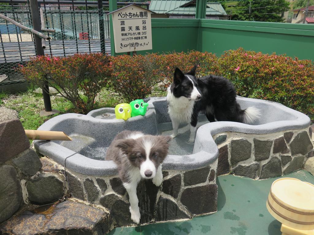 Kinugawa Kokusai Hotel Nikko Bagian luar foto